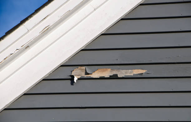 Best Insulated Siding Installation  in , RI